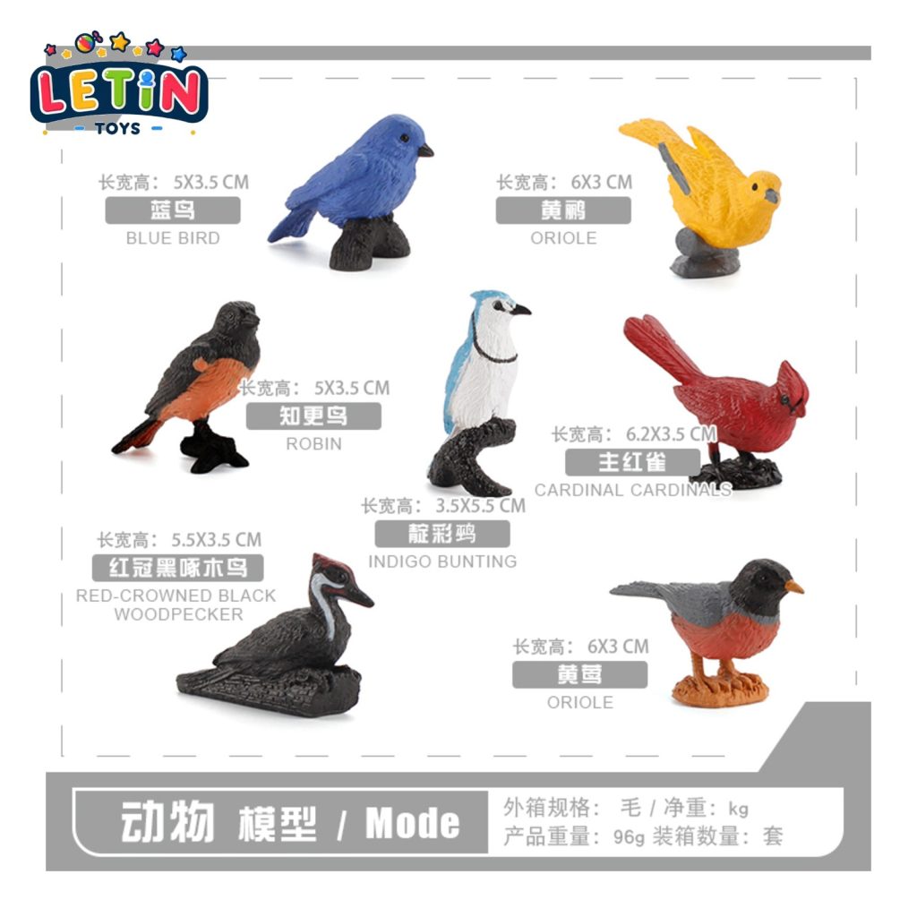 Realistic Bird Figure Set